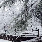 Trevino (1) Img #2  December 10th