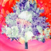 Vaca (1) Img #2  Seasons