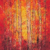 Young (1) Img #3  Aspen Salsa