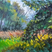 Bauer (1) Img #1  Late Summer Meadow