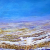 Case-E (1) Img #3  Prairie in Winter