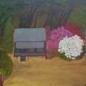 Gober (1) Img #2 Grandma Planted Azaleas