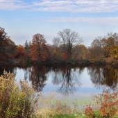 Grotz (1) Img #1  Fall Reflection