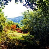 Heck (1) Img #1  Down the Hill