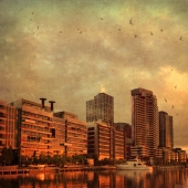 Hoskin (2) Img #2  Autumn Sunset