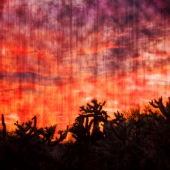 Kirk-Detberner (1) Img #2  Melting Summer Sunset