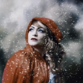 HM - Photo - Powell (1) Img #2  Snow is Falling - Winter