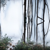 Shannon Sadulsky - “Landscape 1” - www.sadulskyart.com