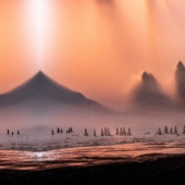 Shannon Sadulsky - “Landscape 3” - www.sadulskyart.com