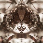 Shannon Sadulsky - “Nature and the Machine 2” - www.sadulskyart.com