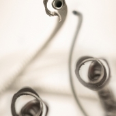 Shannon Sadulsky - “Nature and the Machine 4” - www.sadulskyart.com