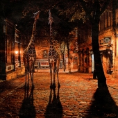 Sheri Emerson - "Out for a Stroll" - www.sheriemerson.com