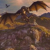 Sheri Emerson - "Swoop" - www.sheriemerson.com