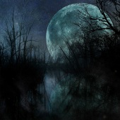 3rd-Place-OA-58-pd.-Shelley-Benjamin-–-“Night-View”