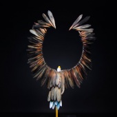 14-3d.-Maura-Freeman-“Eagle”