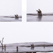 9-3d.-Leslie-Stefanson-“Nigeria”