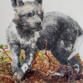 149-pom.-Jan-Lowe-–-“Wolves-Play-Too...I-am-only-a-Puppy”