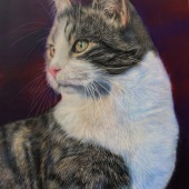 193-pom.-Bonny-Snowdon-–-“Milo”