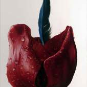 197-pom.-Manda-McKay-–-“Asking-for-It-II”