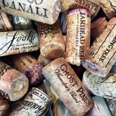 232-pom.-Lizabeth-Castellano-King-–-“Corks”