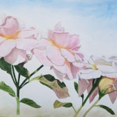 280-pom.-Lisa-Freeman-Wood-–-“4-Roses”