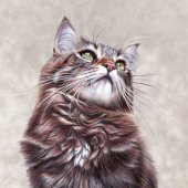 296-pom.-Lisa-Ann-Watkins-–-“Aura”