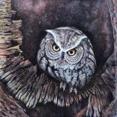 315-pom.-Linda-Steele-–-“The-Screech-Owl”