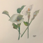 46-pom.-Veronica-Russo-–-“Kathryn”