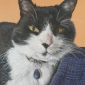 61-pom.-Susan-Murray-–-“Pepsi”