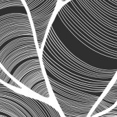 23-pd.-Emory-Elliott-–-“Capillaries”