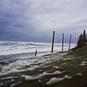 25-pd.-Kaetlyn-Grogan-–-“Hurricane-Matthew”