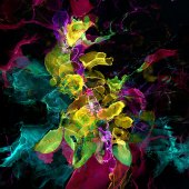 54-pd.-Dru-Kuhlman-–-“Orchid”