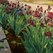 102-pom.-Gerlyn-Friesenhahn-–-“Red-Irises-on-Comal-Street”