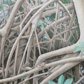 156-pom.-Deborah-W.-Perlman-–-“Mangrove 200”