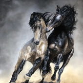 215-pom.-Olga-Kaydash-–-“Wild-Spirit”