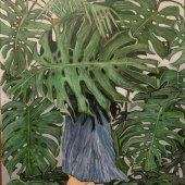 283-pom.-Kimberley-Vanhaaster-–-“Girl-of-the-Forest”
