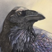 308-pom.-Carolyn-Streed-–-“Here-is-a-Raven-Evermore”