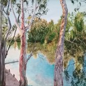 323-pom.-Monika-Scheffler-–-“River-Red-Gums-Echuca-Vic”