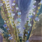 355-pom.-Анна-Монастырева-Anna-Monastyreva-–-“Цикорий-Chicory”