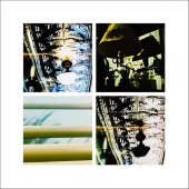 12-pd.-Sylvia-Bandyke-“Let-There-Be-Light”