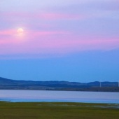 88-pd.-Margaret-Kalms-Blushing-Moon