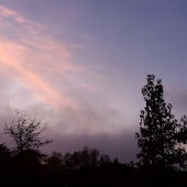 90-pd.-Patricia-P-Schnepf-–-“Morning-Light”