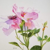 Hon.-Mention-279-pom.-Lisa-Freeman-Wood-–-“Rose-Garden-in-July”